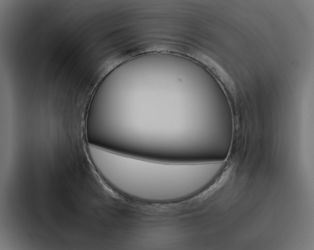 X0000088230993200705151045