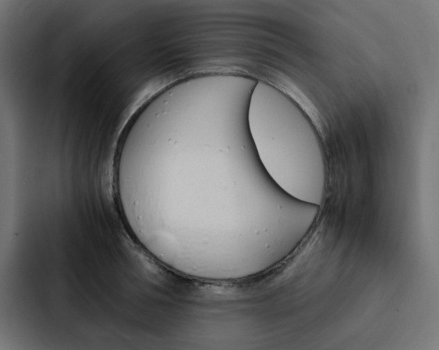X0000088230994200705151045