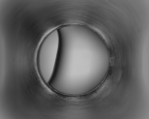 X0000088230995200705151045