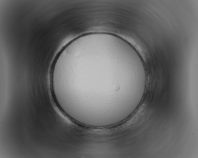 X0000088230998200705151045
