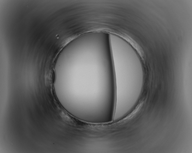 X0000088231001200705151045