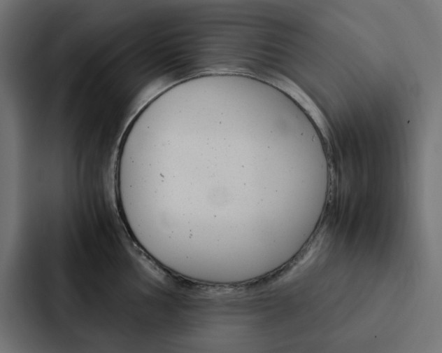 X0000088231002200705151045