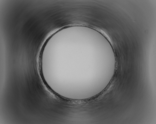 X0000088231003200705151045