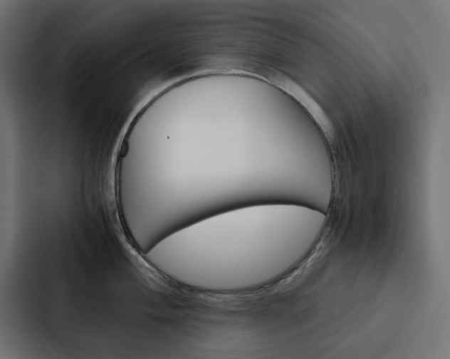 X0000088231004200705151045