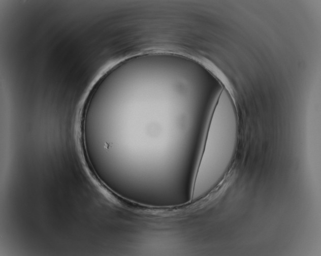X0000088231005200705151045