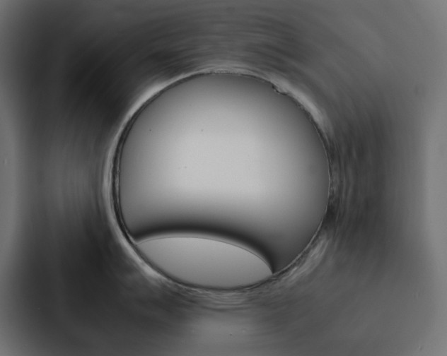 X0000088231007200705151045