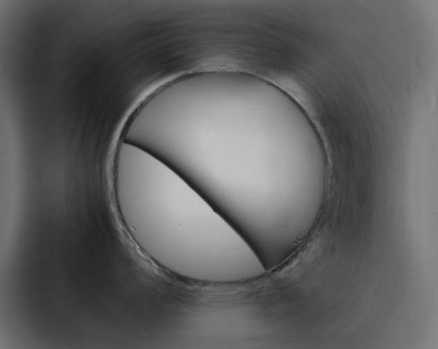 X0000088231008200705151045