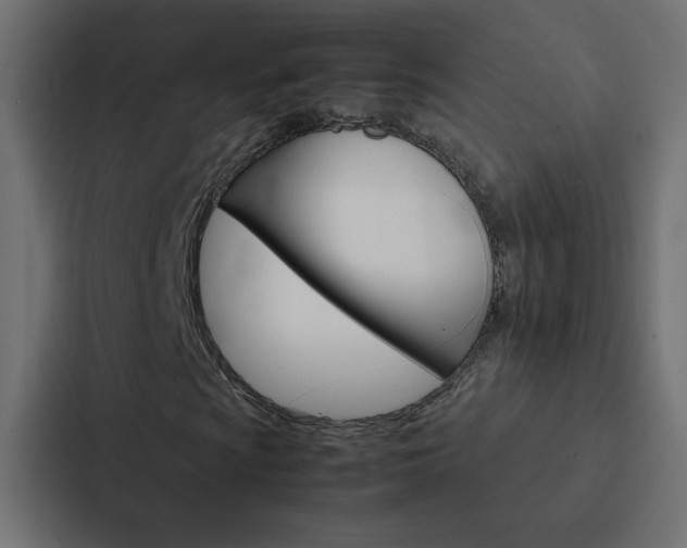 X0000088231009200705151044