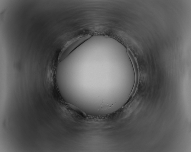 X0000088231010200705151044