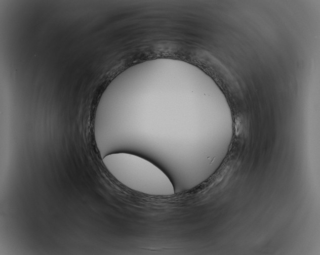 X0000088231011200705151044