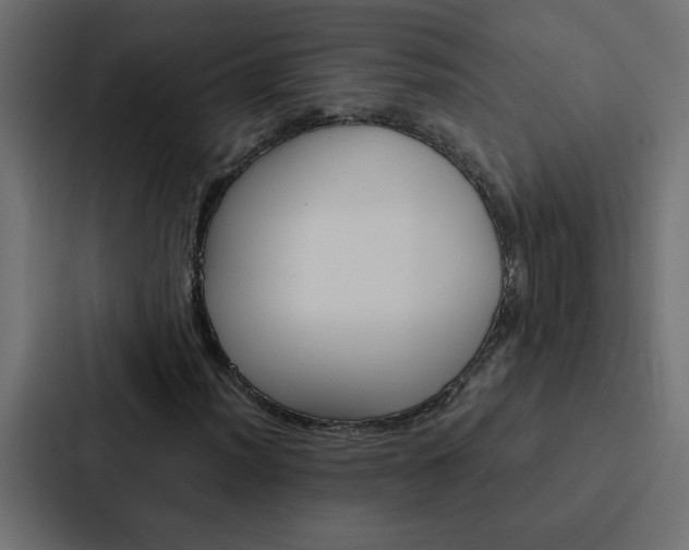 X0000088231012200705151044