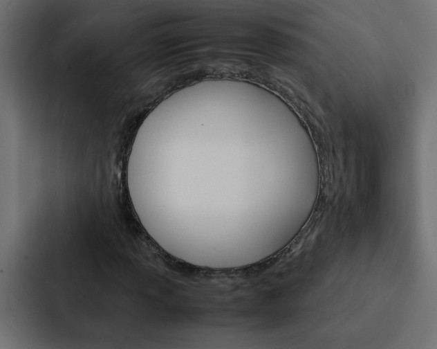 X0000088231013200705151044
