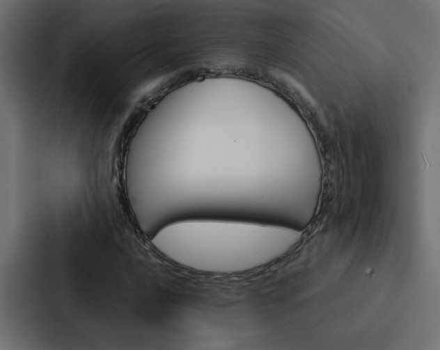 X0000088231016200705151044