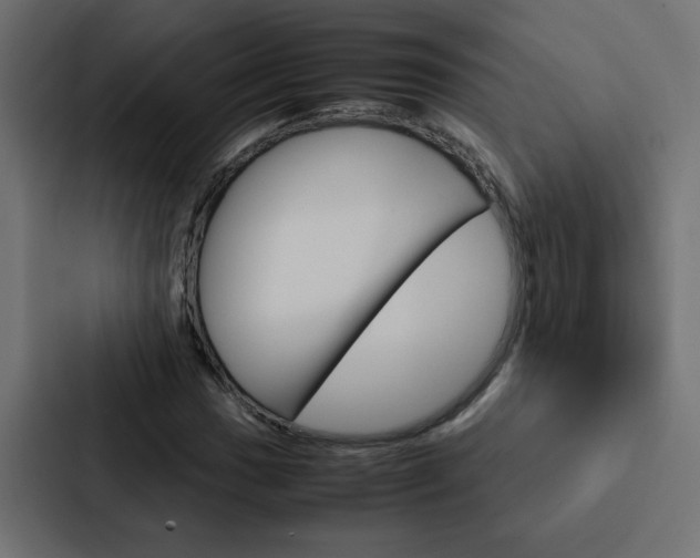 X0000088231017200705151044