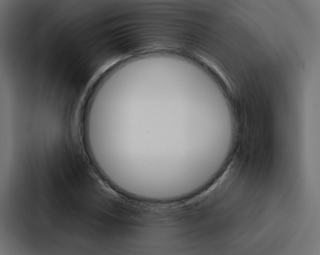X0000088231018200705151044
