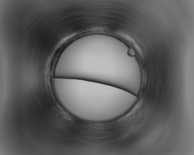 X0000088231019200705151044