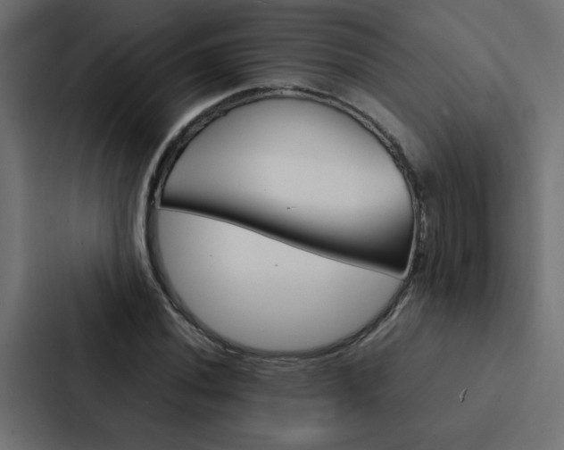 X0000088231020200705151044