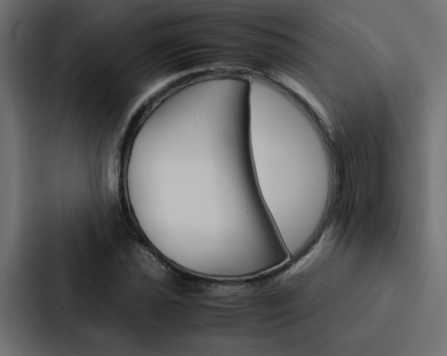 X0000088231021200705151044