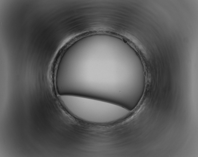 X0000088231022200705151045