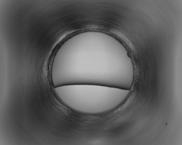 X0000088231023200705151045