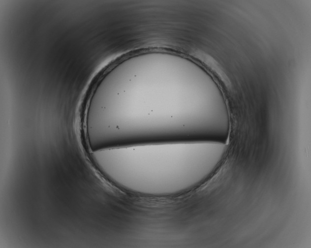 X0000088231024200705151045
