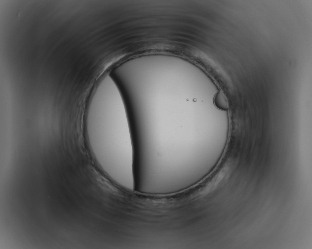 X0000088231025200705151045
