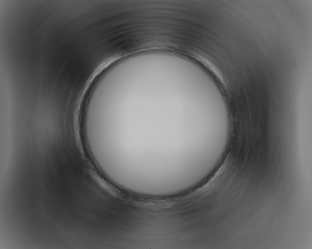 X0000088231026200705151045