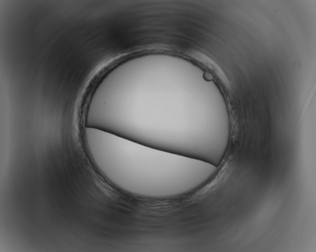 X0000088231027200705151045
