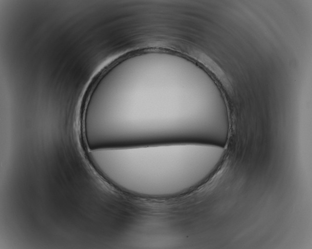 X0000088231028200705151045