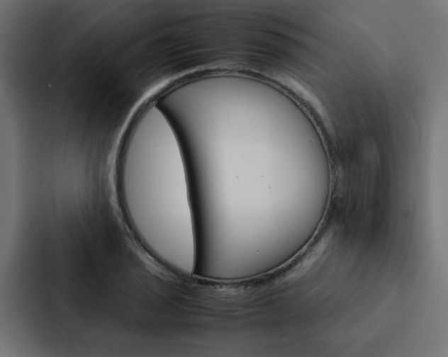 X0000088231029200705151045