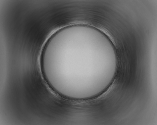 X0000088231030200705151045