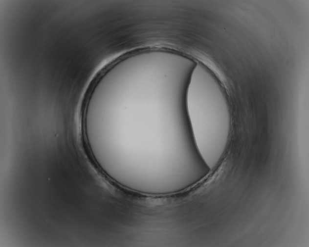 X0000088231032200705151045