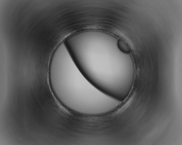 X0000088231033200705151045