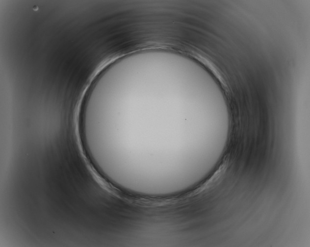 X0000088231034200705151045