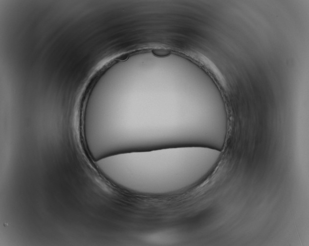 X0000088231035200705151045