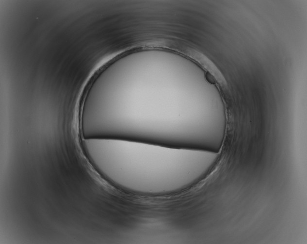 X0000088231036200705151045