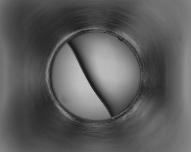 X0000088231037200705151045