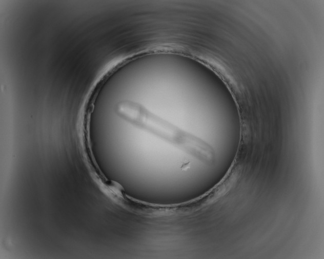 X0000088231038200705151045