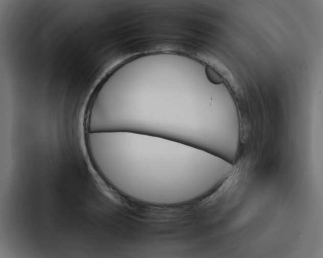 X0000088231039200705151045