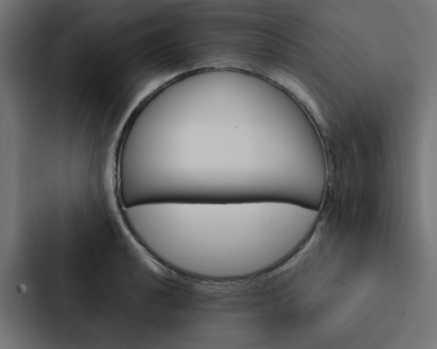 X0000088231040200705151045