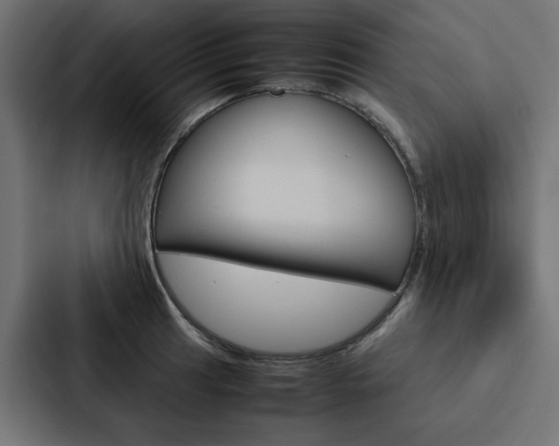 X0000088231041200705151045