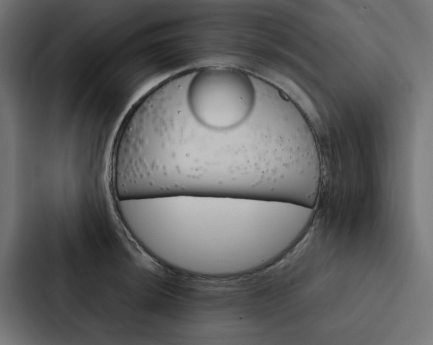 X0000088231044200705151045