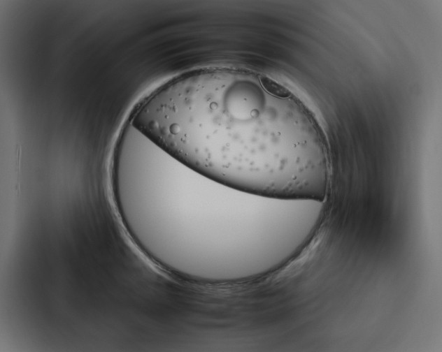 X0000088231045200705151045