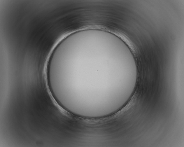 X0000088231046200705151045