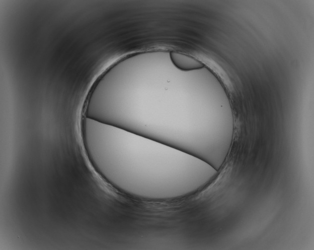 X0000088231047200705151045