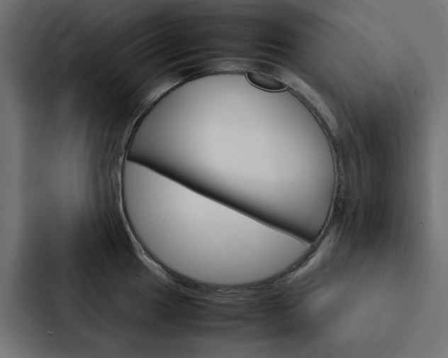 X0000088231049200705151045