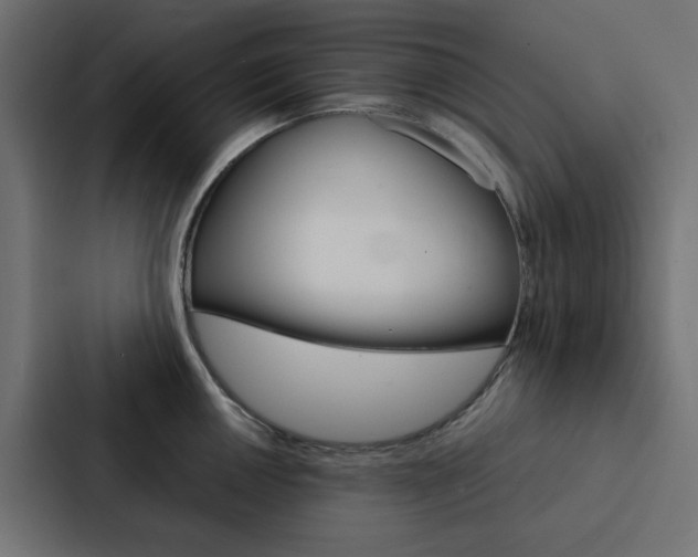 X0000088231050200705151045