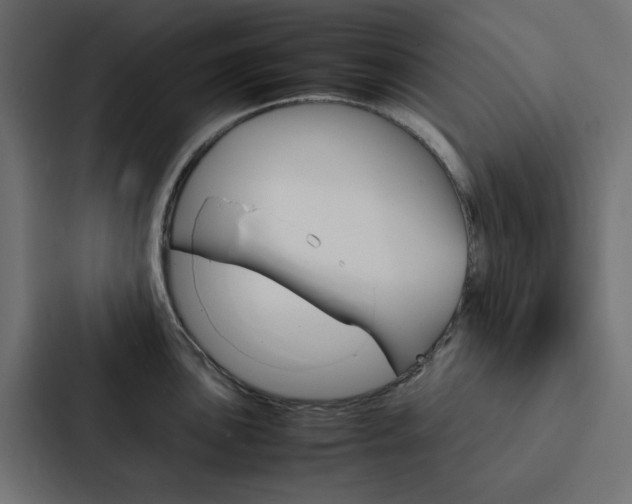 X0000088231051200705151045