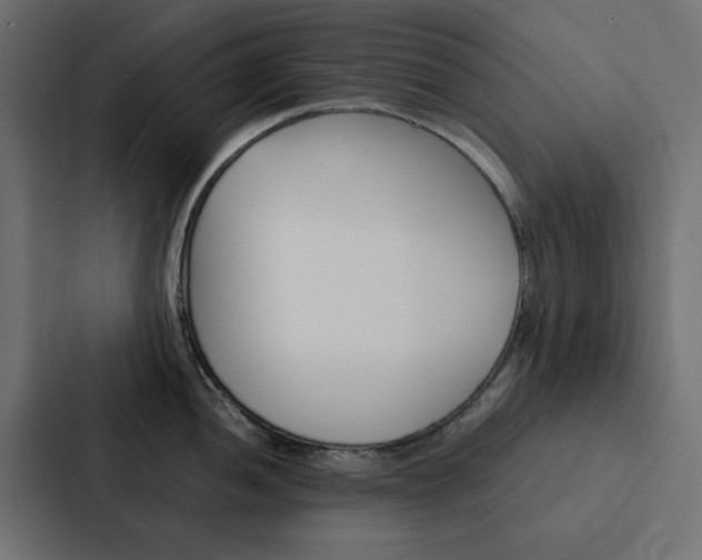 X0000088231052200705151045