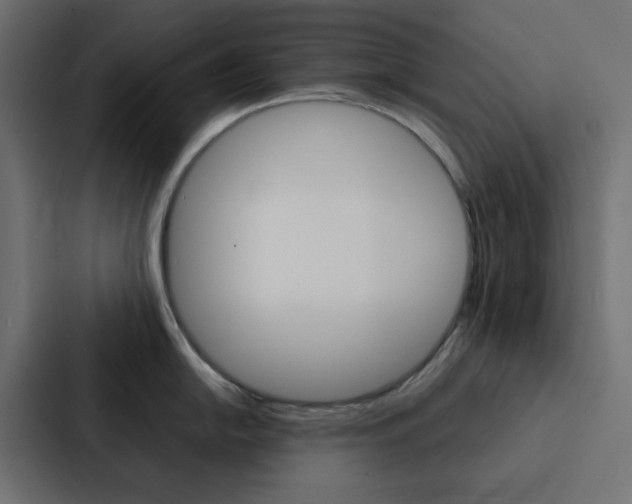 X0000088231054200705151045